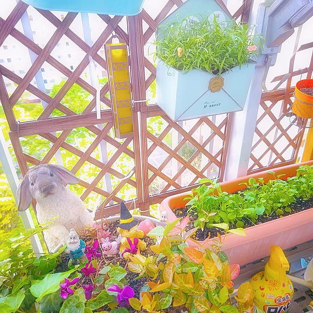 mariaさんの部屋