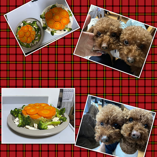 momoさんの実例写真