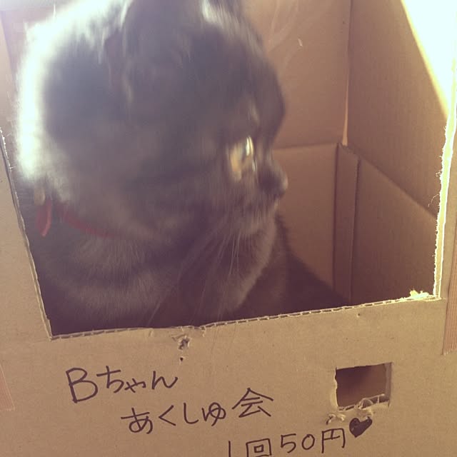 Megumiさんの実例写真