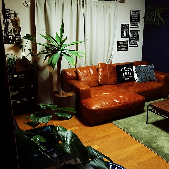 mokoさんの実例写真