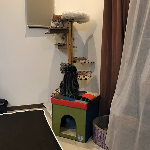 KotarouKunさんの実例写真