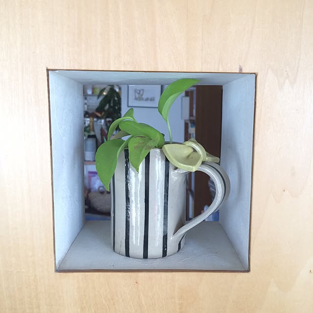 壁/天井/観葉植物/雑貨/植物のインテリア実例 - 2016-01-16 10:18:45