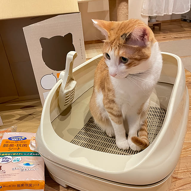 Aさんの部屋