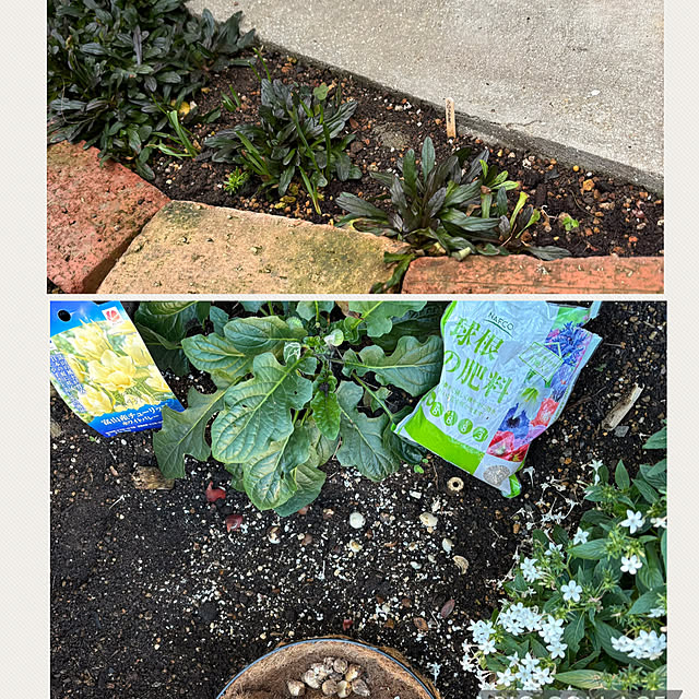 kyoko1124koさんの部屋