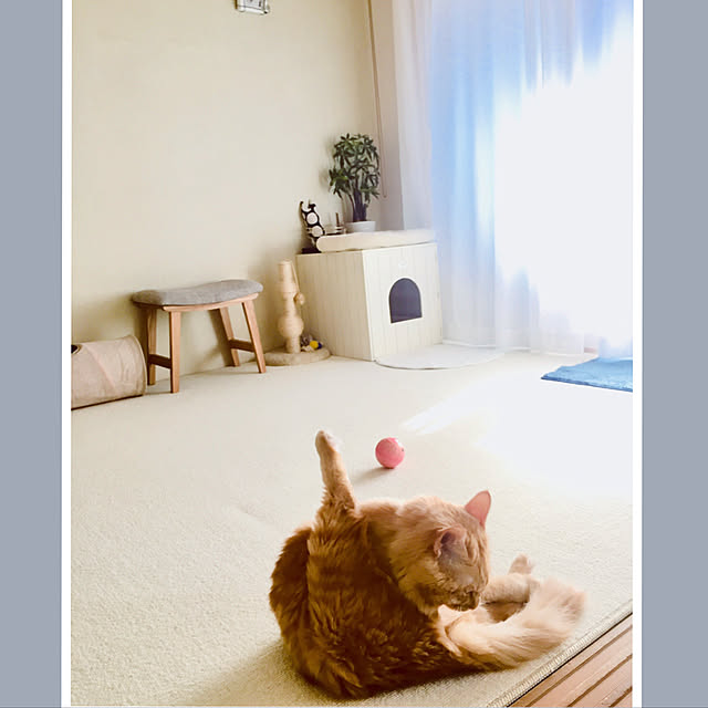 Ryokoさんの実例写真