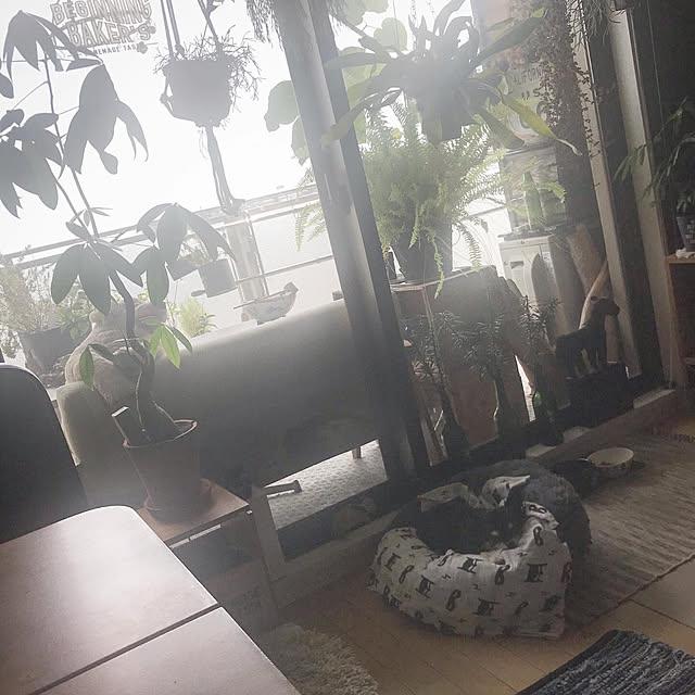 riechocoさんの実例写真