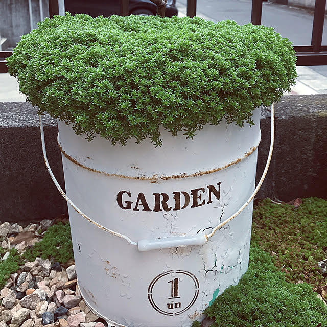 viviさんの実例写真