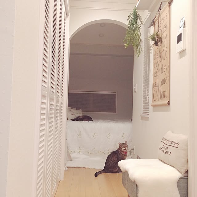 lovecatさんの実例写真