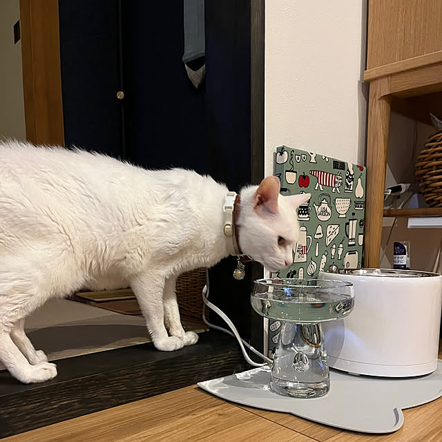 hanaさんの実例写真