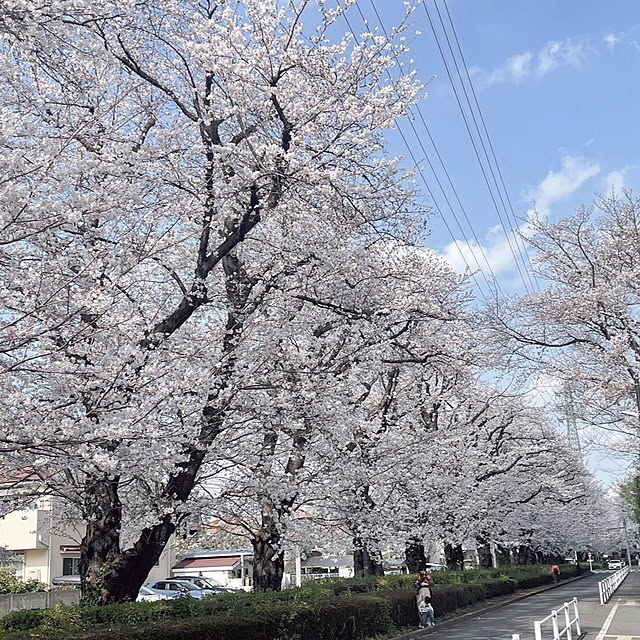 mi-hayaさんの実例写真