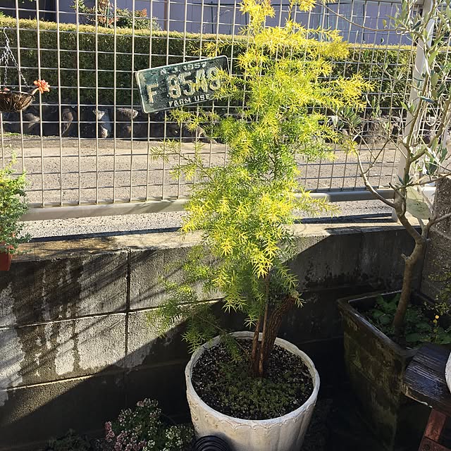 sanw2225719さんの実例写真