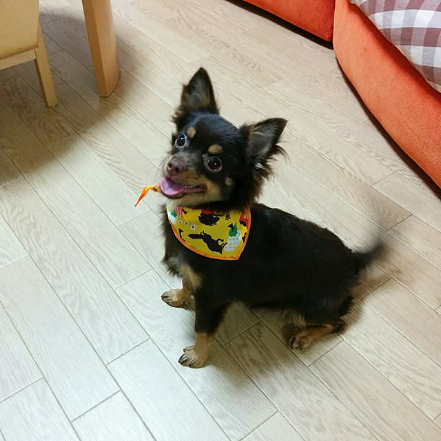 miyuさんの実例写真