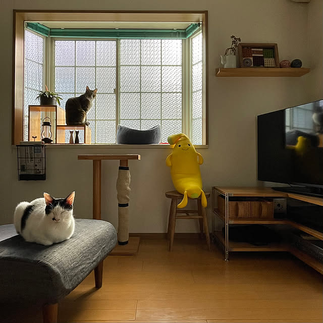 nobikoさんの実例写真