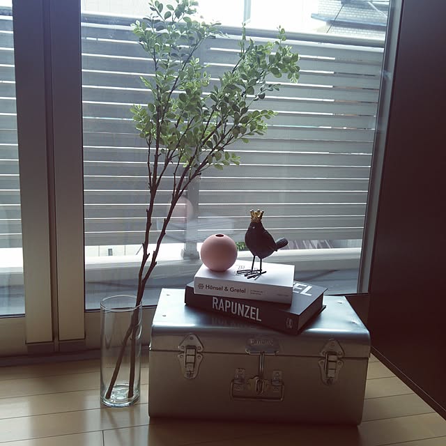 nao0219さんの実例写真