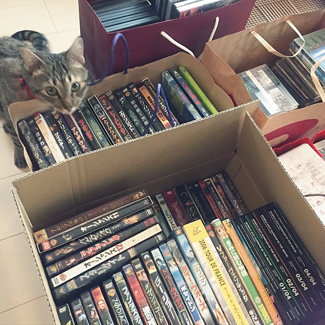 kirinさんの実例写真