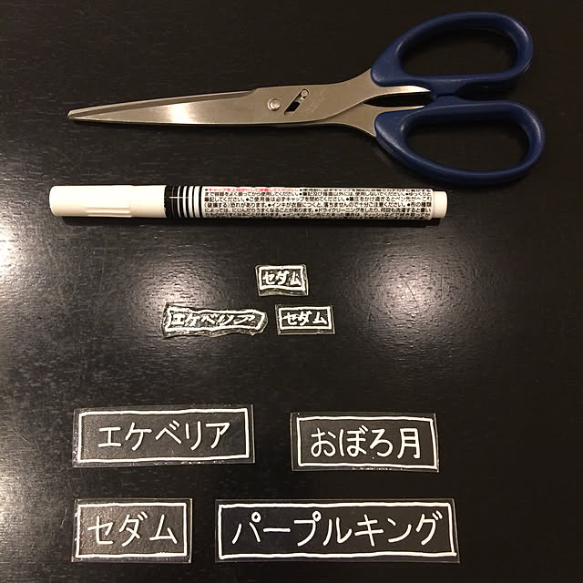 kiriwakaさんの実例写真
