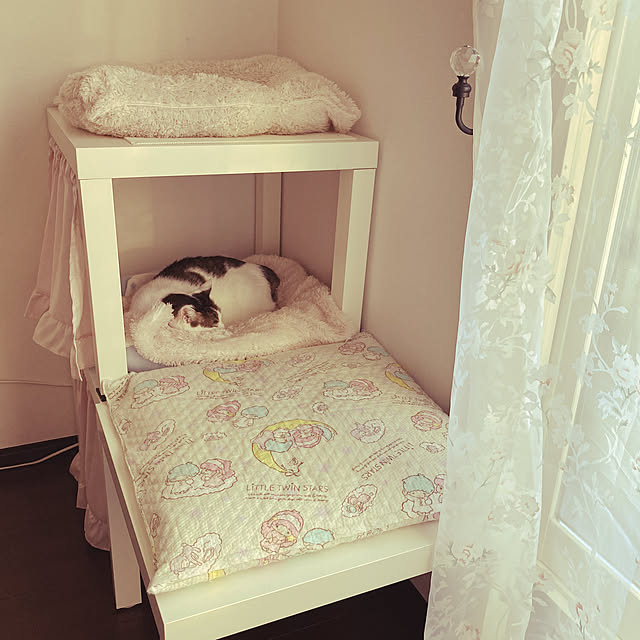 Gomaさんの実例写真