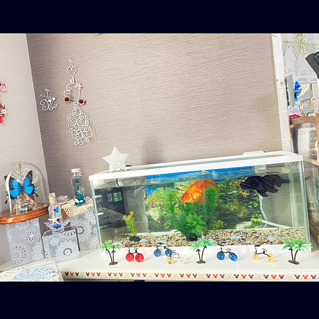 uki-uki77さんの実例写真