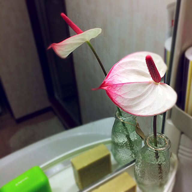TNPnaOUCHIさんの実例写真