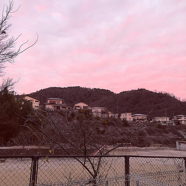 koyuriさんの実例写真