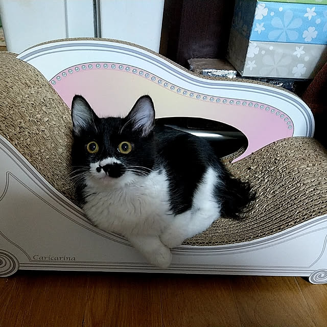 aatan91241さんの実例写真