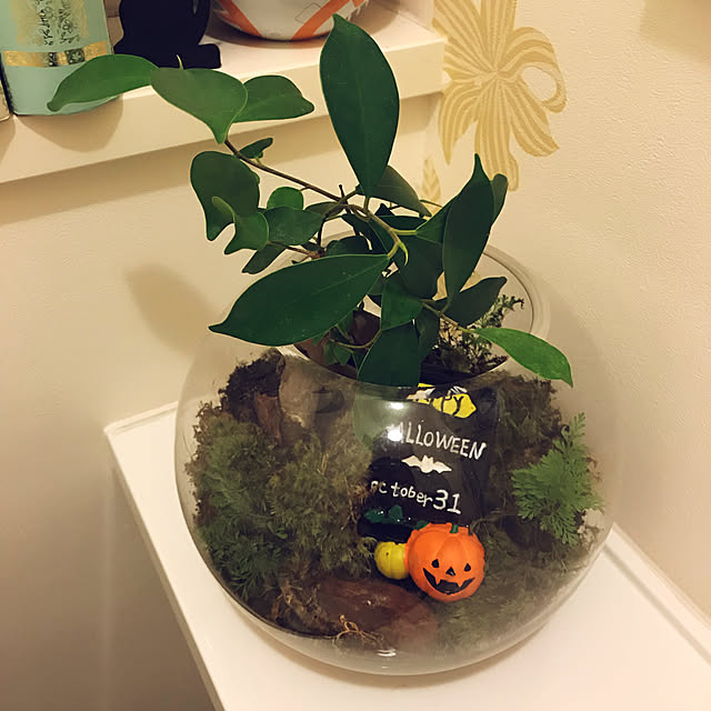 実例写真