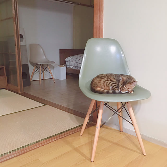 anさんの実例写真