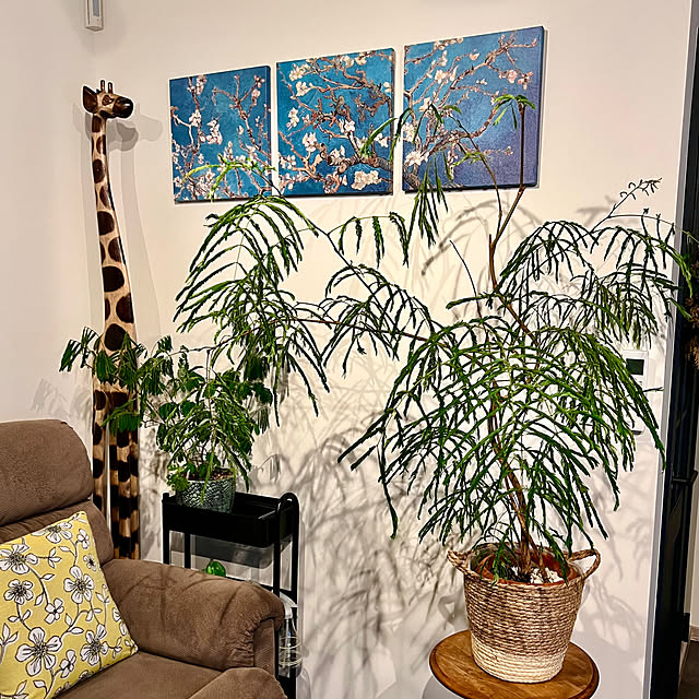 sachieyさんの部屋