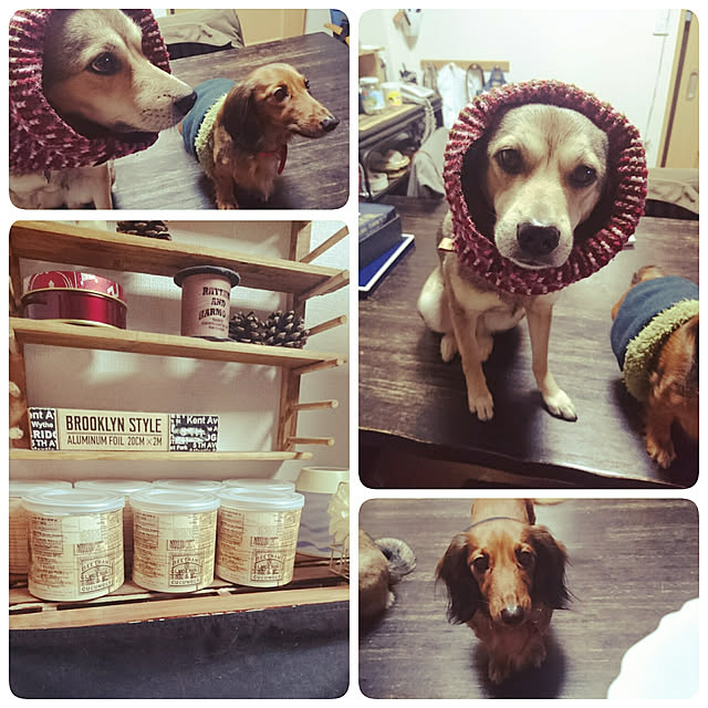 andさんの実例写真