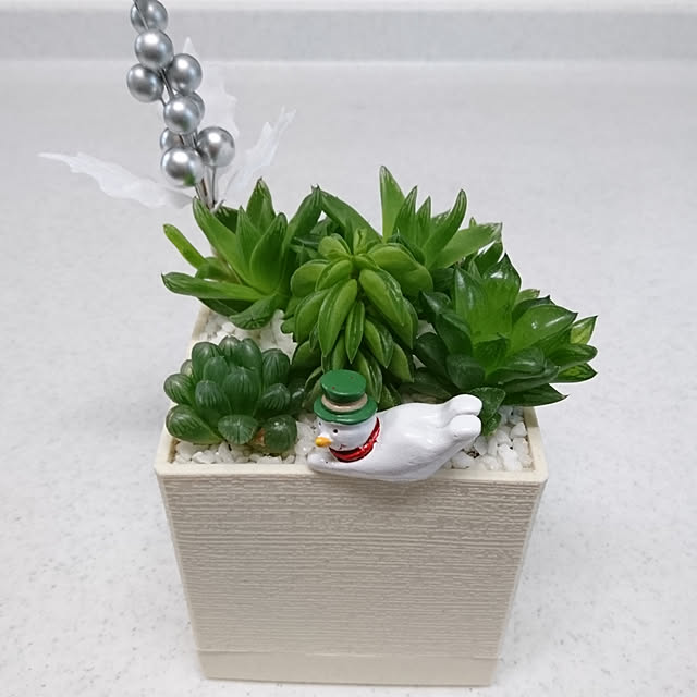 keyさんの実例写真