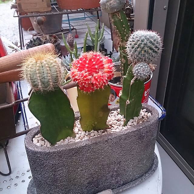 実例写真