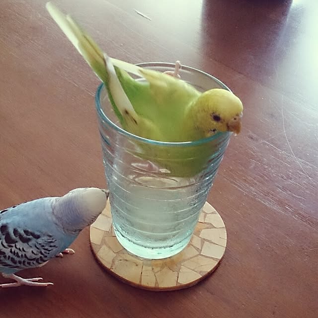 hiroemon58さんの実例写真