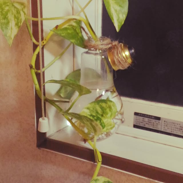 mayu.さんの実例写真