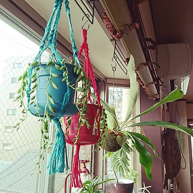 cocosorasakuさんの実例写真