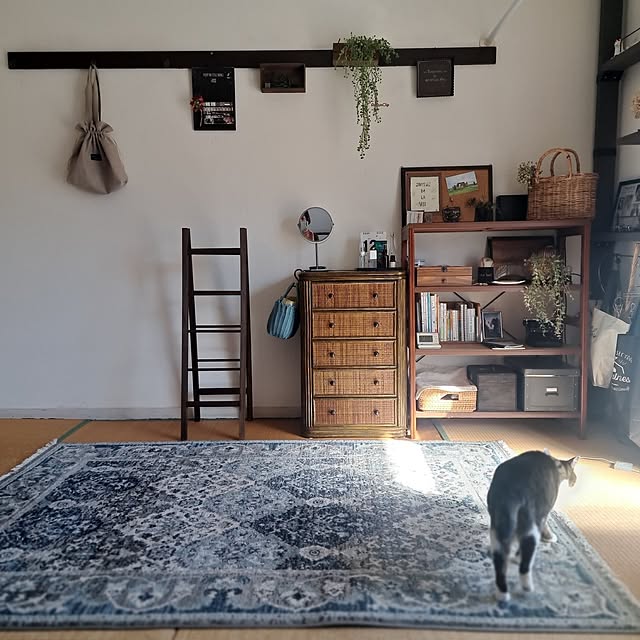 shinoさんの部屋