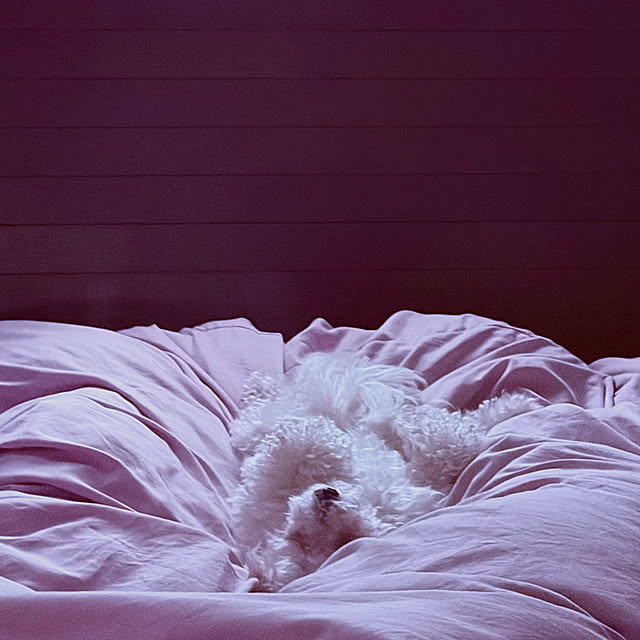 chacoさんの部屋