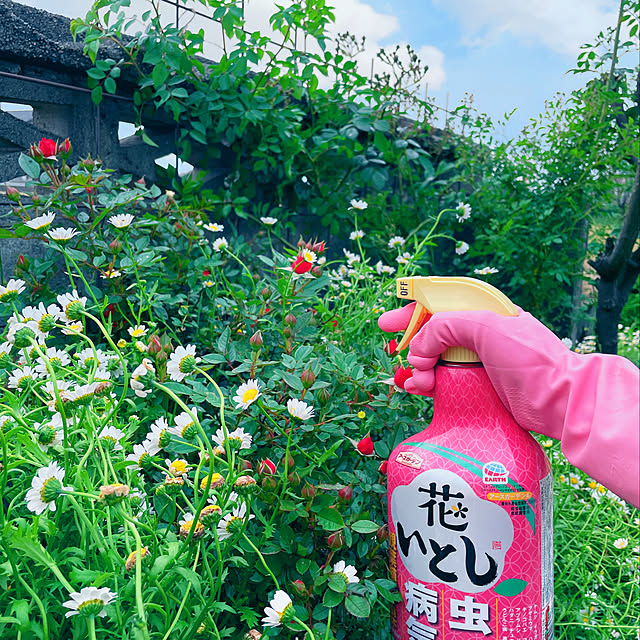 mamさんの実例写真