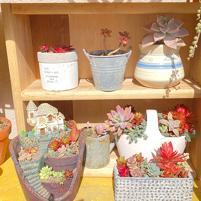 kikkofさんの部屋