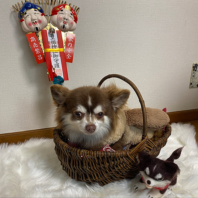 chIoeさんの実例写真
