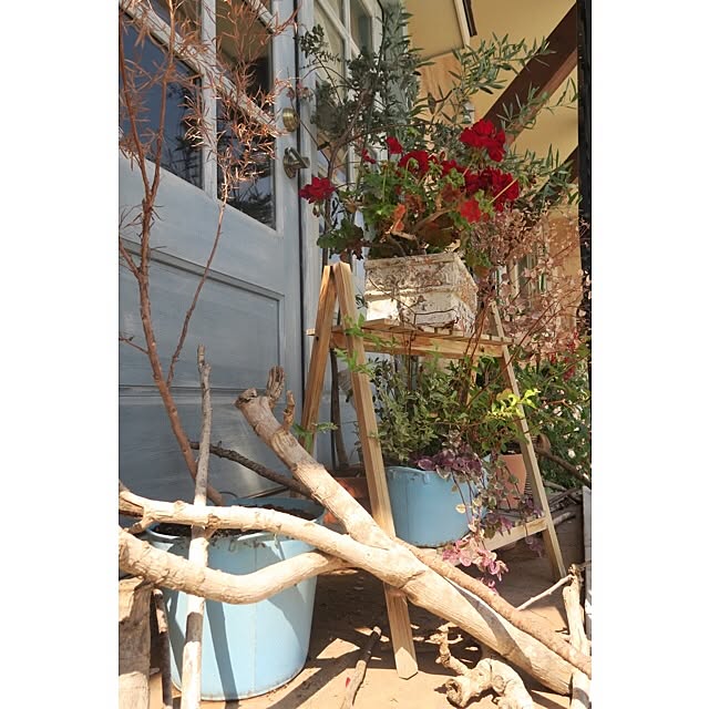 minoi_ts_cafeさんの実例写真