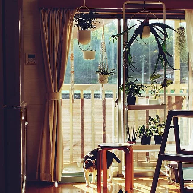 nachiさんの実例写真