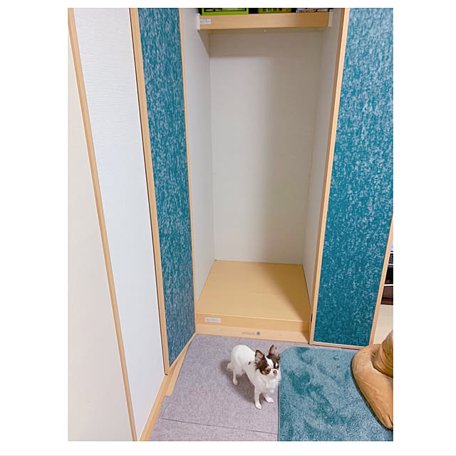 makoさんの実例写真