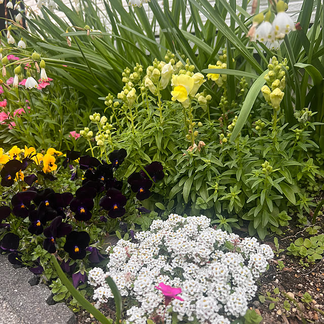 milkmanamaさんの部屋