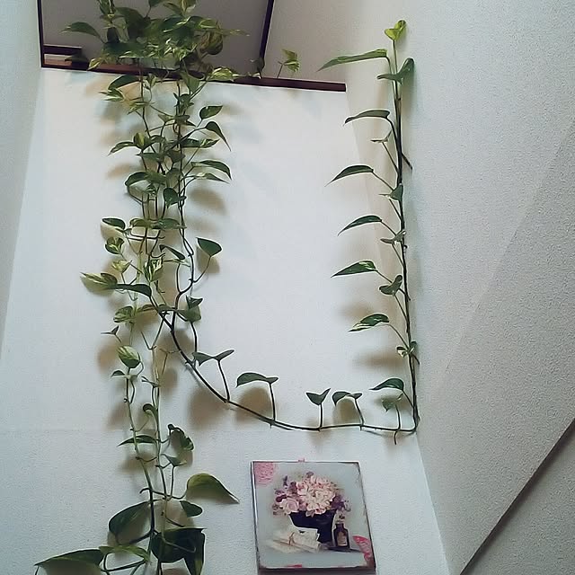mariagardenさんの実例写真