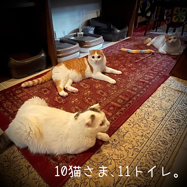 marusanさんの実例写真