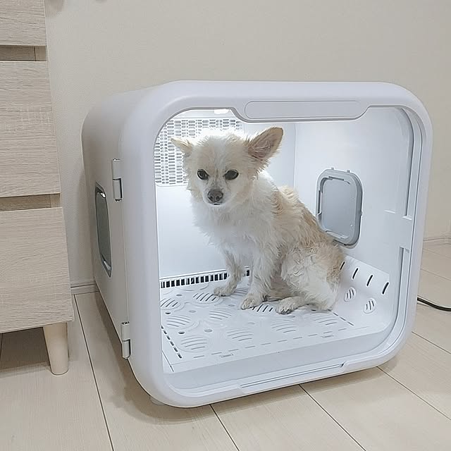 PAOさんの部屋