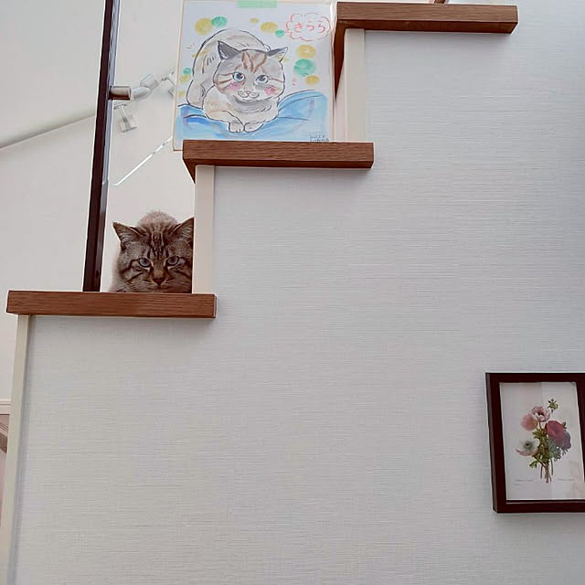 yayoiさんの実例写真