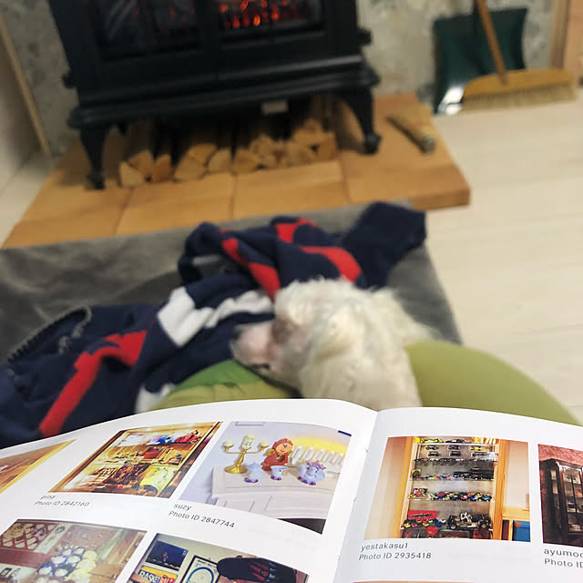 suzyさんの実例写真