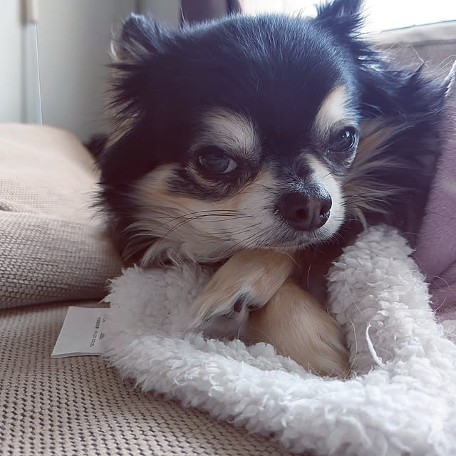TOMIさんの実例写真