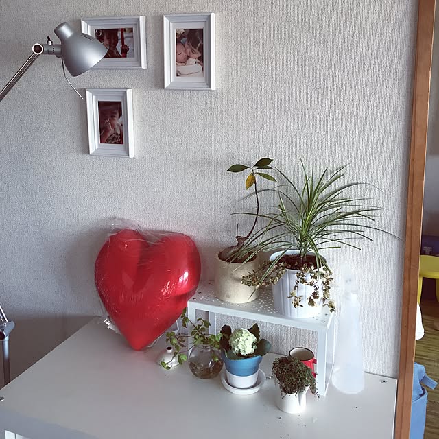 Hatsuneさんの実例写真